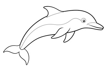 dolphin line art silhouette vector illustration