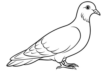 dove line art silhouette vector illustration