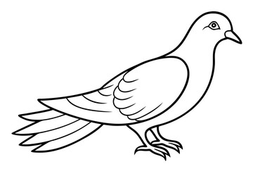 dove line art silhouette vector illustration