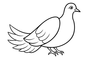 dove line art silhouette vector illustration