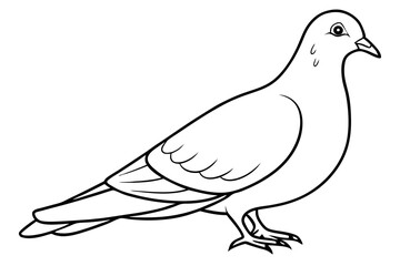 dove line art silhouette vector illustration