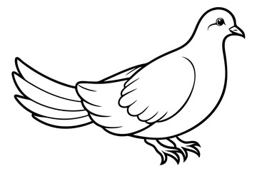 dove line art silhouette vector illustration