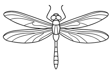 dragonfly line art silhouette vector illustration