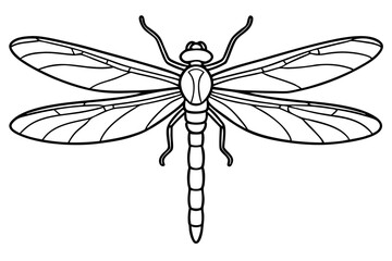 dragonfly line art silhouette vector illustration