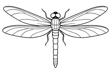 dragonfly line art silhouette vector illustration