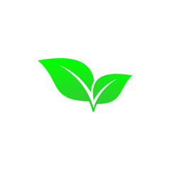 Green leaf icon