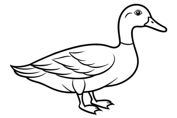 duck line art silhouette vector illustration