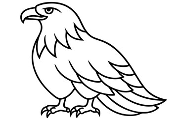 eagle line art silhouette vector illustration