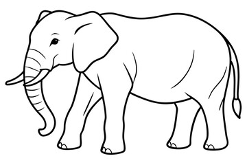 elephant line art silhouette vector illustration