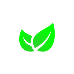 Green leaf icon