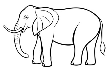 elephant line art silhouette vector illustration