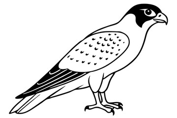 falcon line art silhouette vector illustration