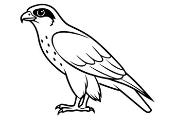 falcon line art silhouette vector illustration