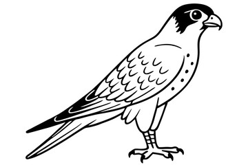 Fototapeta premium falcon line art silhouette vector illustration