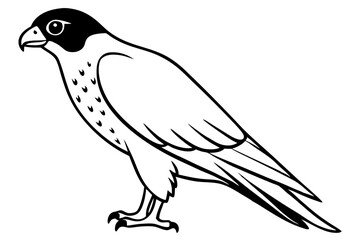 falcon line art silhouette vector illustration