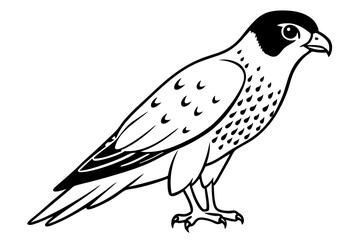 falcon line art silhouette vector illustration