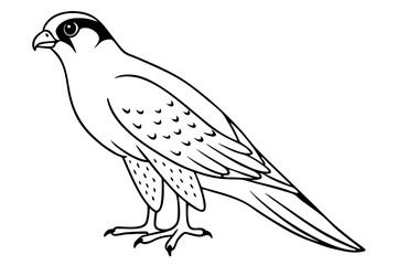 falcon line art silhouette vector illustration
