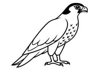 falcon line art silhouette vector illustration