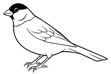 finch line art silhouette vector illustration