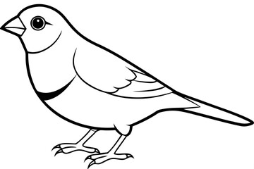 finch line art silhouette vector illustration