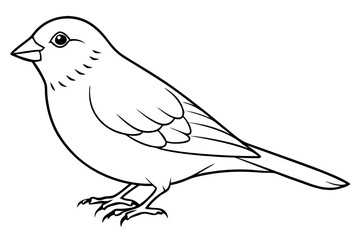 finch line art silhouette vector illustration