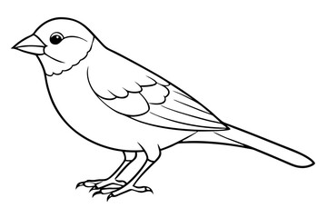 finch line art silhouette vector illustration