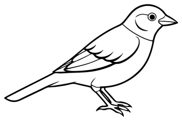 finch line art silhouette vector illustration