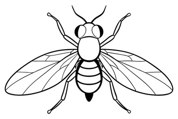 fly line art silhouette vector illustration