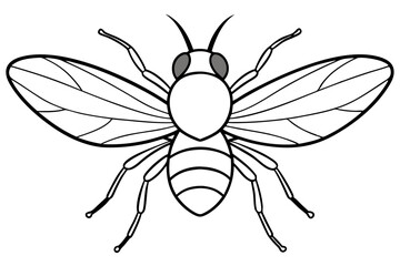 fly line art silhouette vector illustration