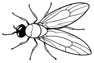 fly line art silhouette vector illustration