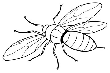 fly line art silhouette vector illustration