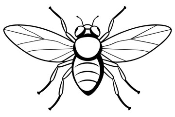 fly line art silhouette vector illustration
