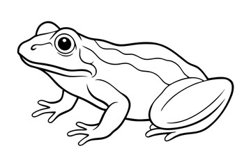 frog line art silhouette vector illustration