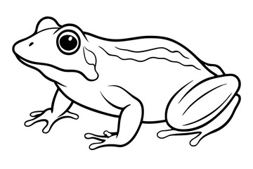 frog line art silhouette vector illustration