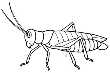 grasshopper line art silhouette vector illustration