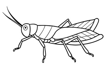 grasshopper line art silhouette vector illustration