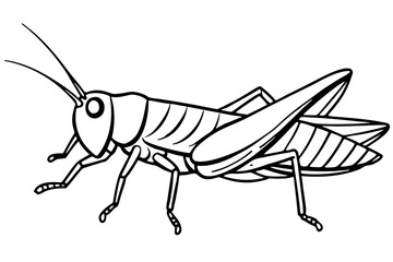 grasshopper line art silhouette vector illustration