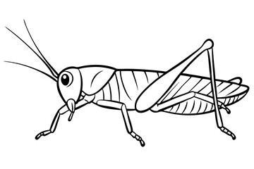 grasshopper line art silhouette vector illustration