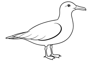 gull line art silhouette vector illustration