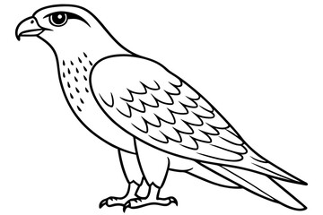 hawk line art silhouette vector illustration