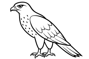hawk line art silhouette vector illustration