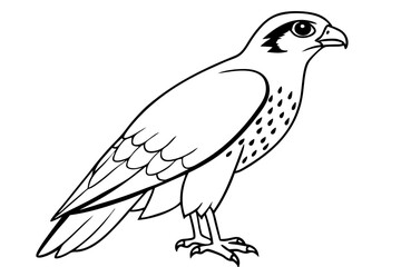 hawk line art silhouette vector illustration
