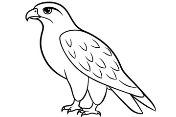 hawk line art silhouette vector illustration