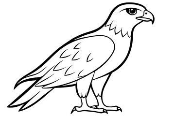 hawk line art silhouette vector illustration