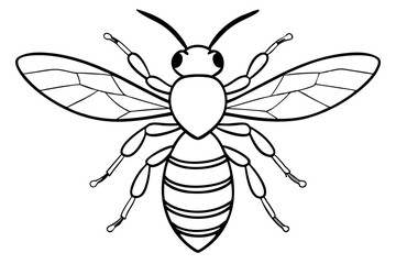 hornet line art silhouette vector illustration