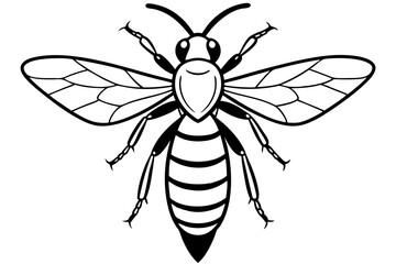 hornet line art silhouette vector illustration