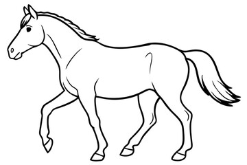 horse line art silhouette vector illustration