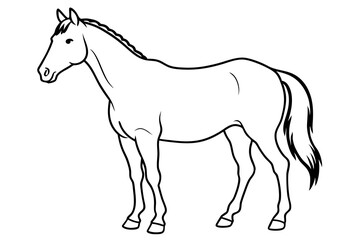 horse line art silhouette vector illustration