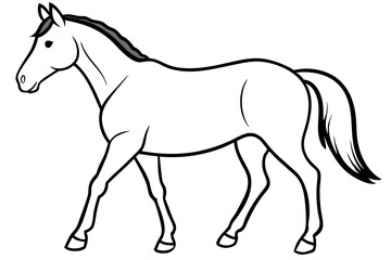 horse line art silhouette vector illustration