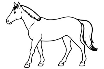 horse line art silhouette vector illustration
